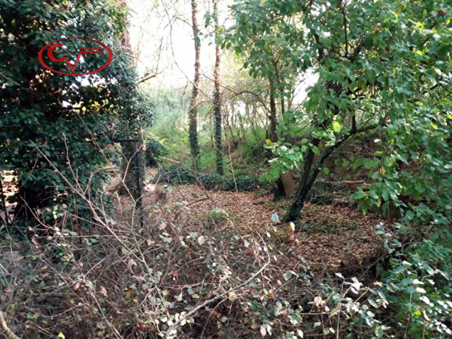Immagine 19 di Rustico / casale in vendita  in via aretina a Laterina Pergine Valdarno