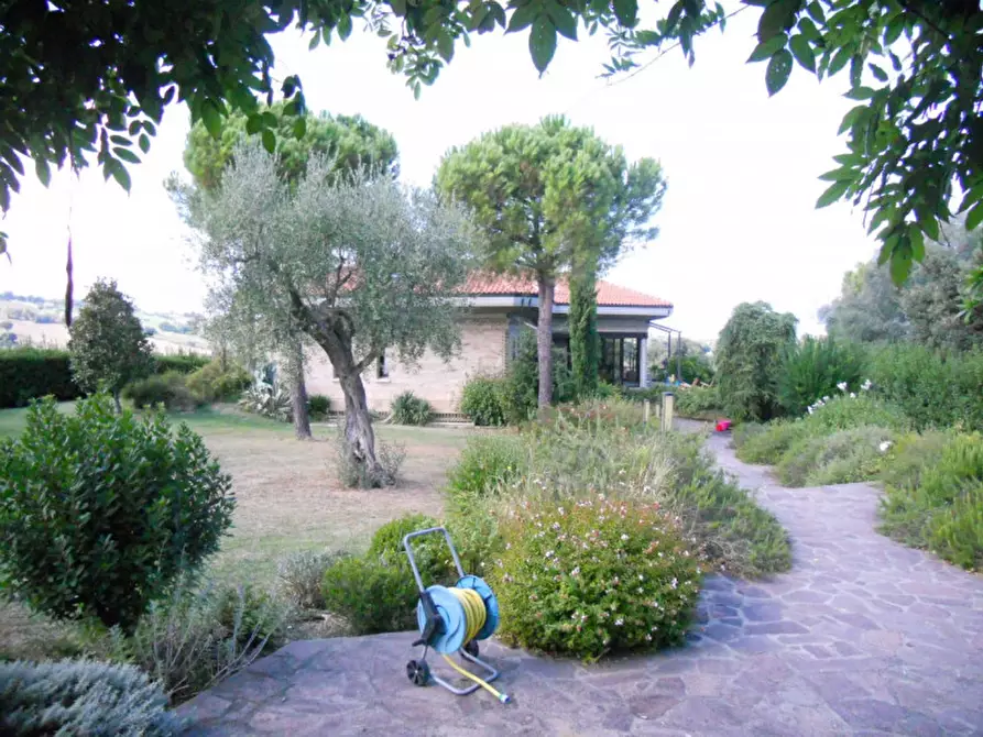 Immagine 3 di Casa indipendente in vendita  a Senigallia