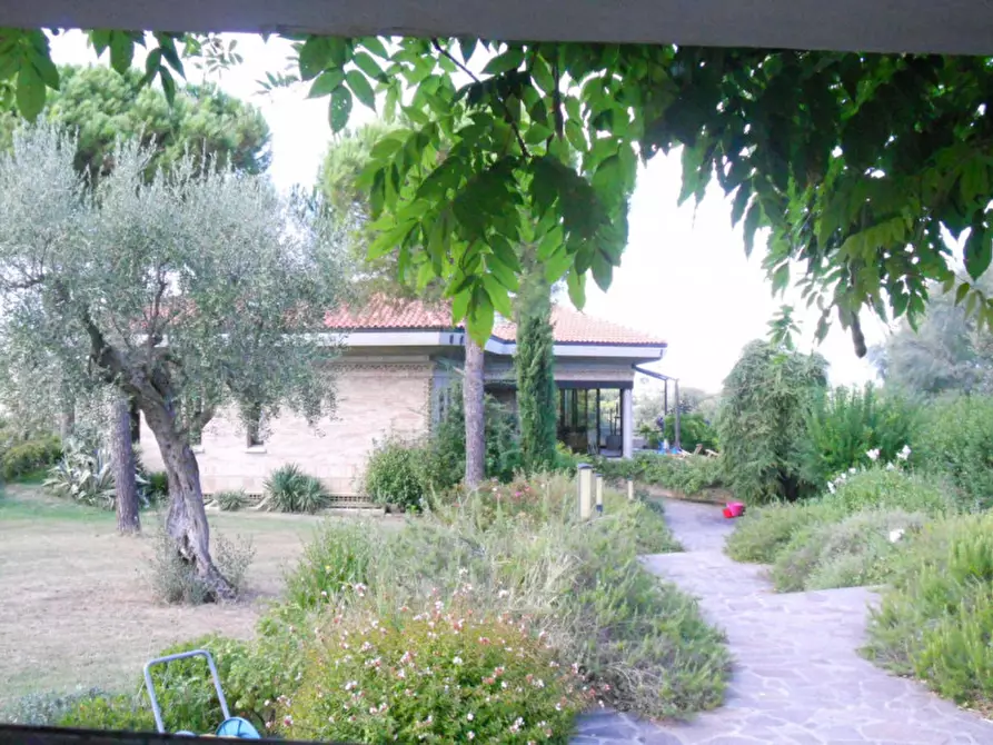 Immagine 8 di Casa indipendente in vendita  a Senigallia