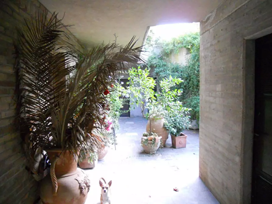 Immagine 9 di Casa indipendente in vendita  a Senigallia