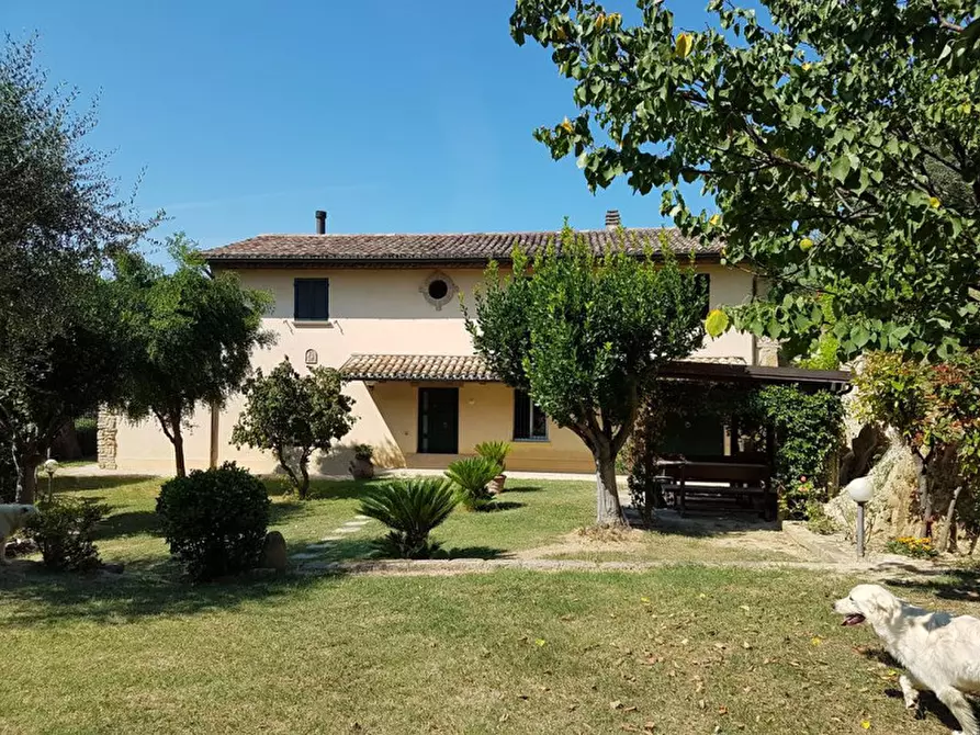 Immagine 1 di Casa indipendente in vendita  in Strada Panoramica Adriatica a Pesaro