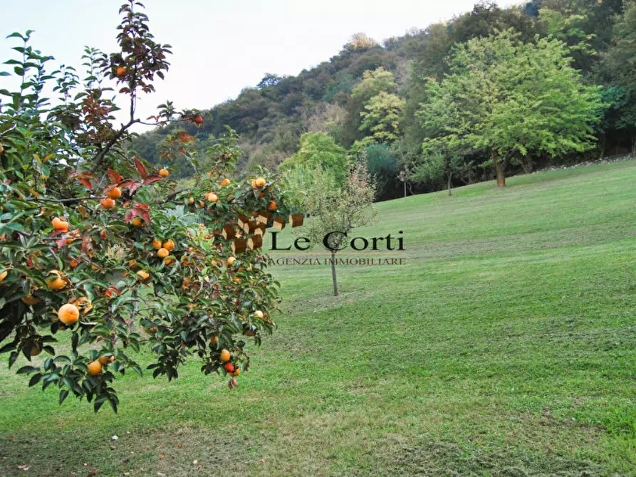 Immagine 2 di Rustico / casale in vendita  a Brendola