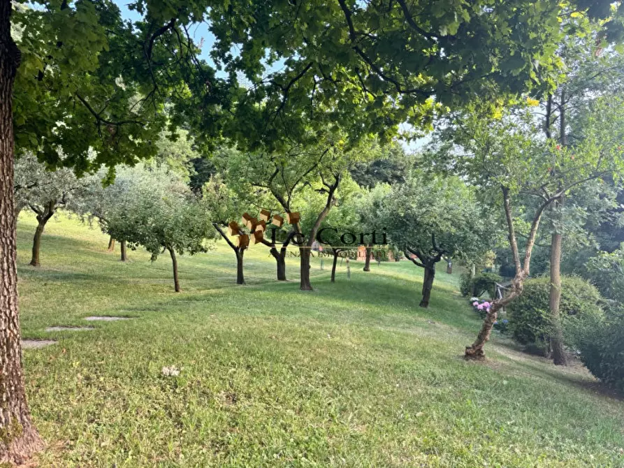 Immagine 3 di Rustico / casale in vendita  a Brendola