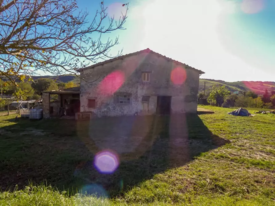 Immagine 3 di Rustico / casale in vendita  in Incrocio Molino Guerra a Sassocorvaro Auditore