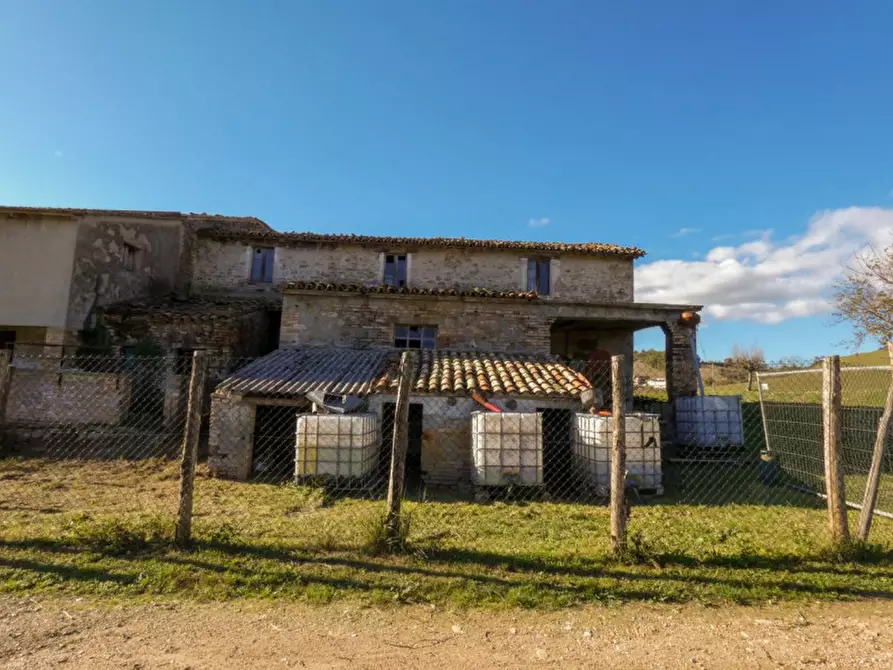 Immagine 5 di Rustico / casale in vendita  in Incrocio Molino Guerra a Sassocorvaro Auditore