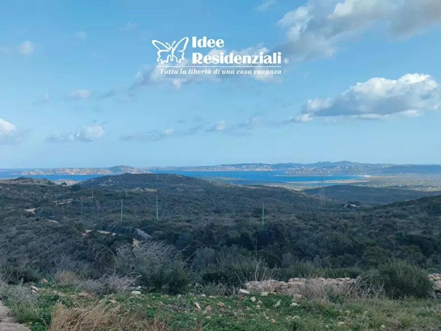 Immagine 3 di Casa indipendente in vendita  a Santa Teresa Gallura