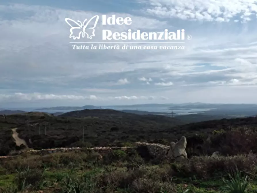 Immagine 7 di Casa indipendente in vendita  a Santa Teresa Gallura