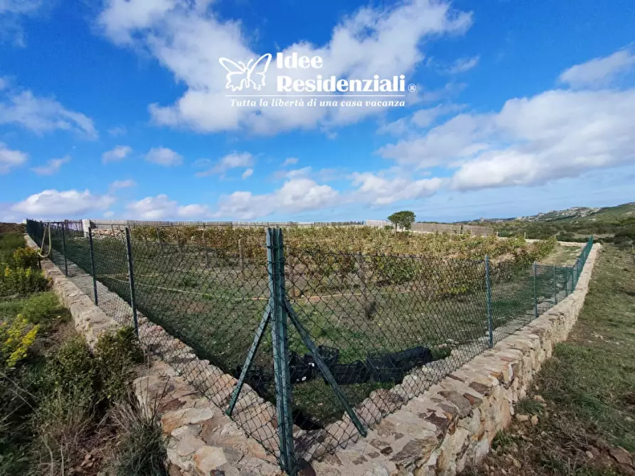 Immagine 19 di Casa indipendente in vendita  a Santa Teresa Gallura