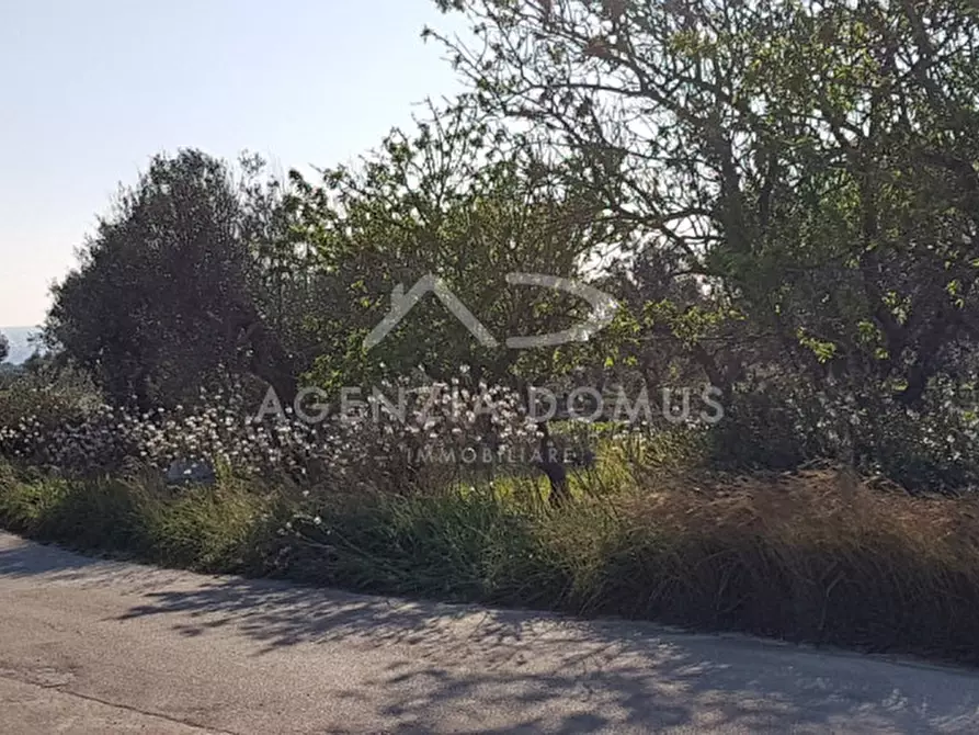 Immagine 2 di Terreno in vendita  a Racale