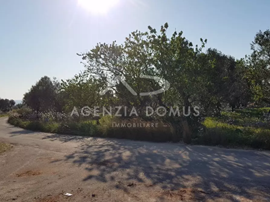 Immagine 3 di Terreno in vendita  a Racale