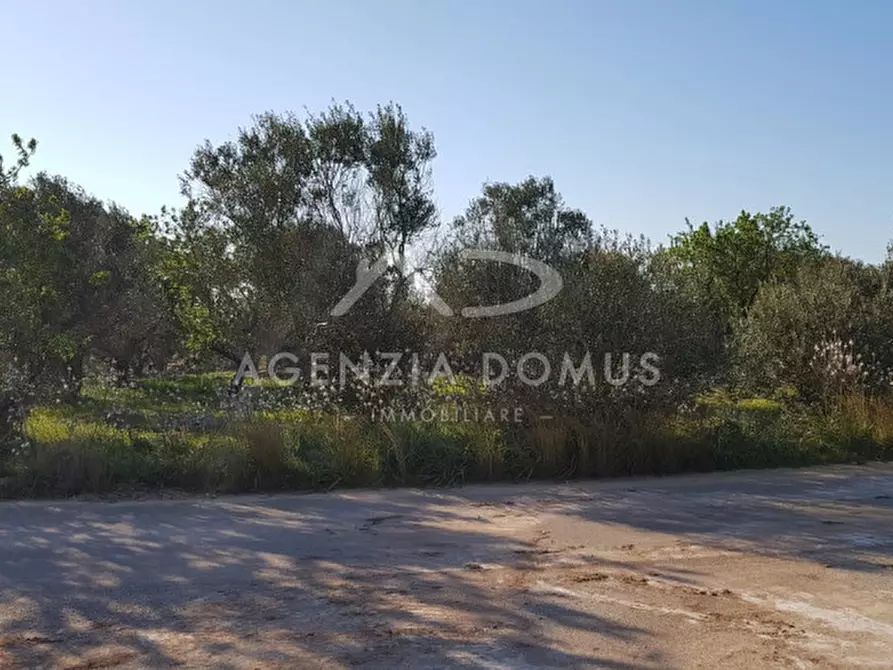 Immagine 4 di Terreno in vendita  a Racale