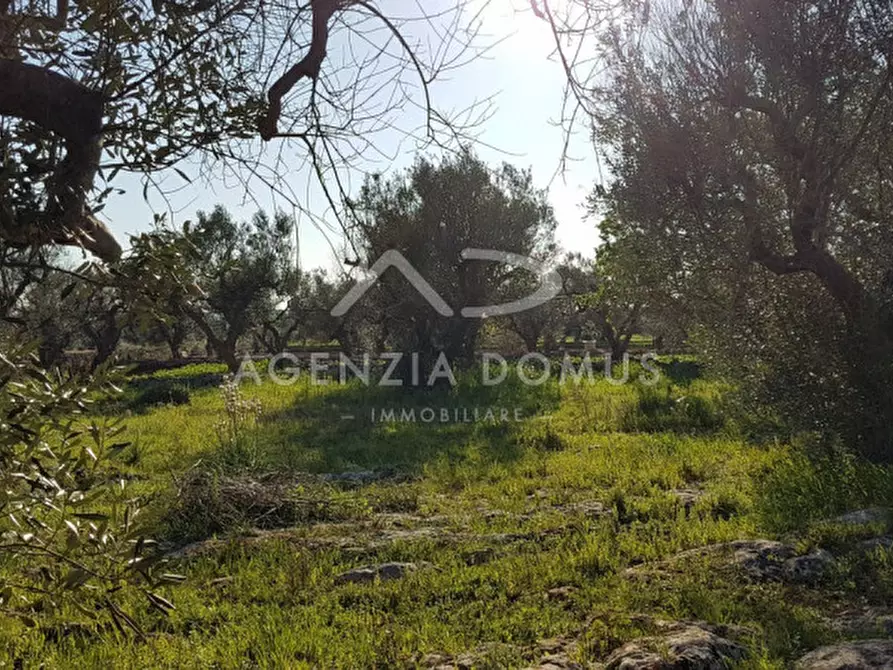 Immagine 6 di Terreno in vendita  a Racale