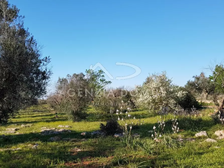 Immagine 7 di Terreno in vendita  a Racale