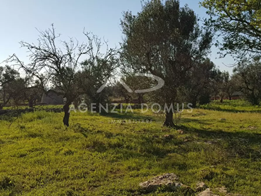 Immagine 9 di Terreno in vendita  a Racale