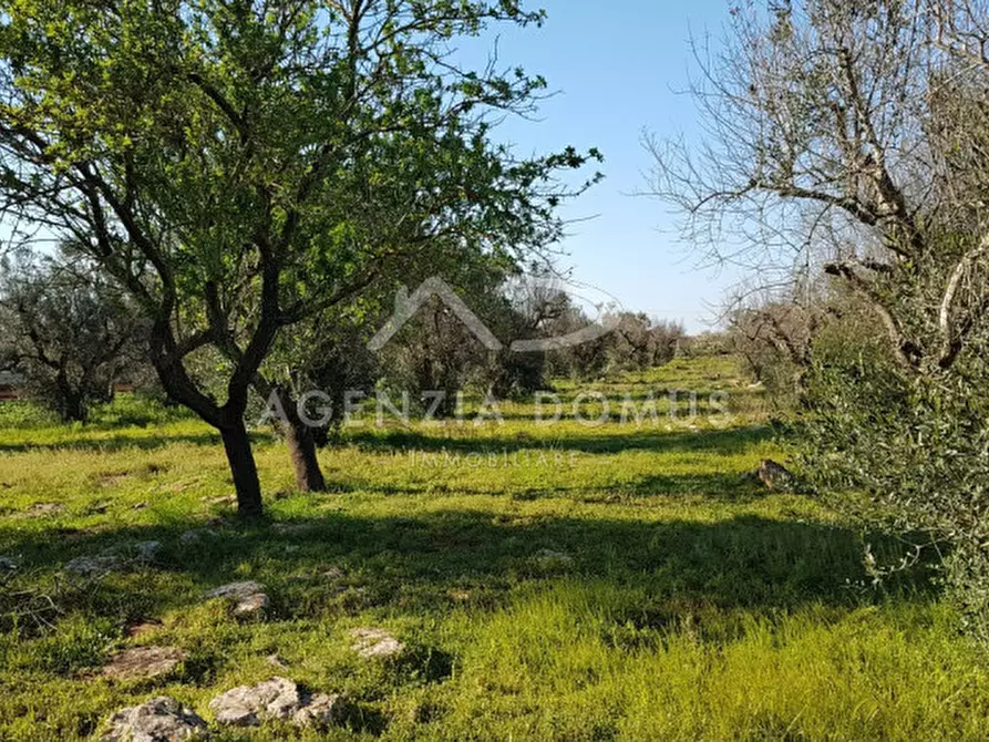 Immagine 10 di Terreno in vendita  a Racale