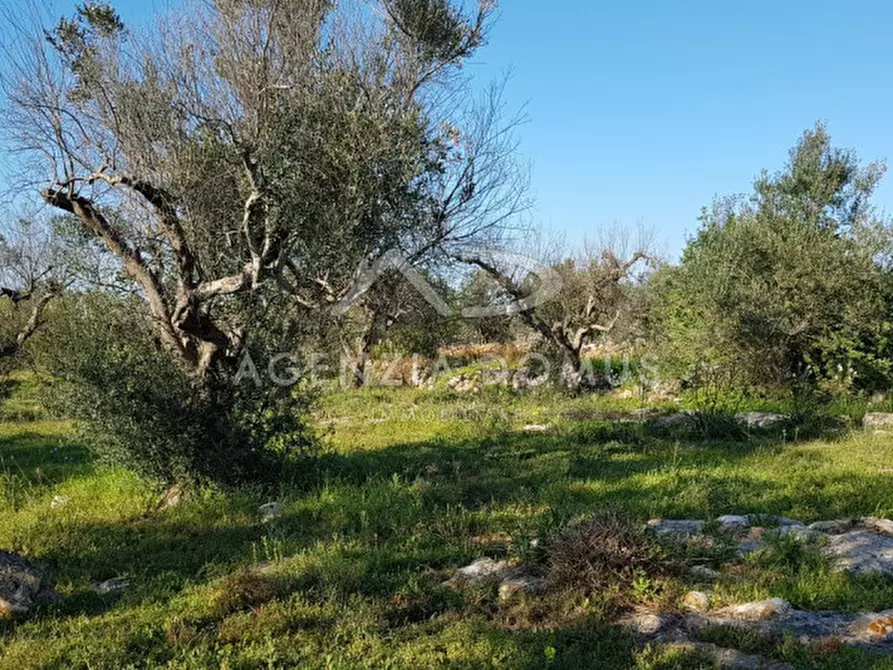 Immagine 12 di Terreno in vendita  a Racale