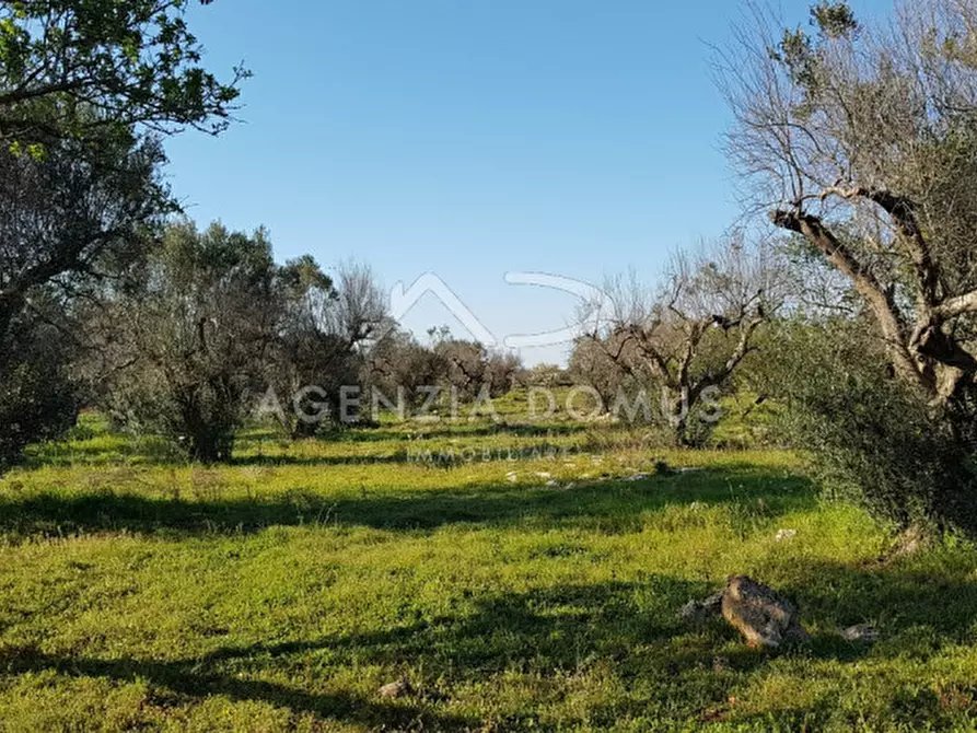 Immagine 13 di Terreno in vendita  a Racale