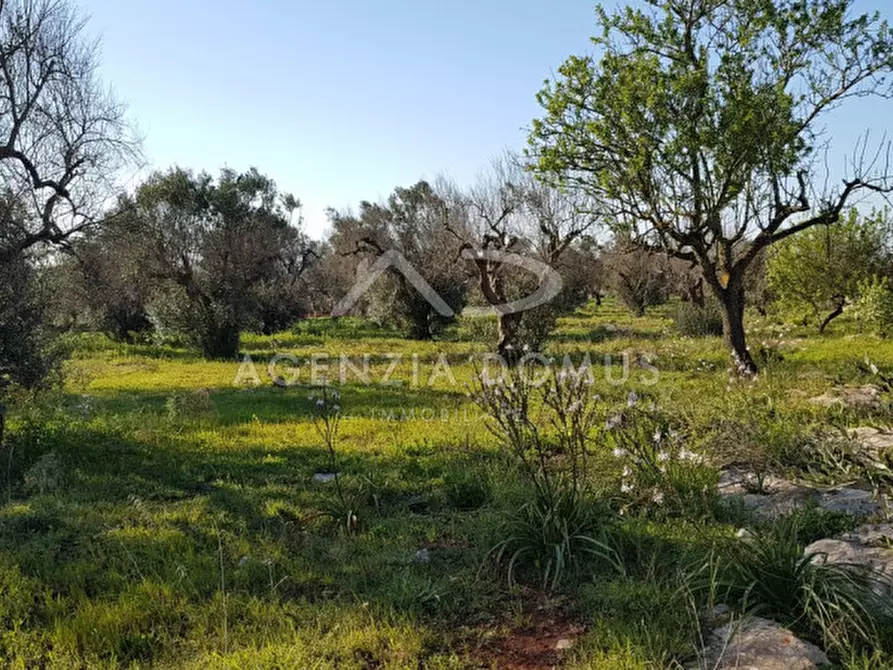 Immagine 14 di Terreno in vendita  a Racale