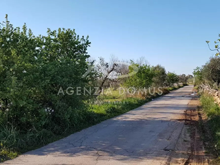 Immagine 15 di Terreno in vendita  a Racale