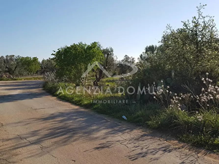 Immagine 16 di Terreno in vendita  a Racale
