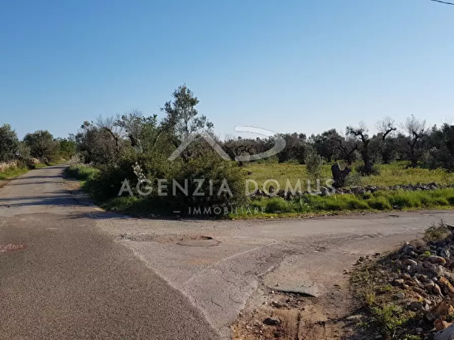 Immagine 17 di Terreno in vendita  a Racale