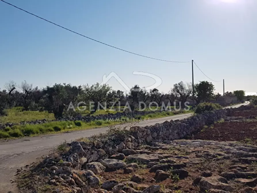 Immagine 18 di Terreno in vendita  a Racale