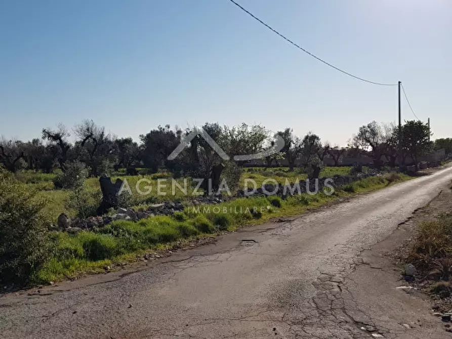 Immagine 19 di Terreno in vendita  a Racale