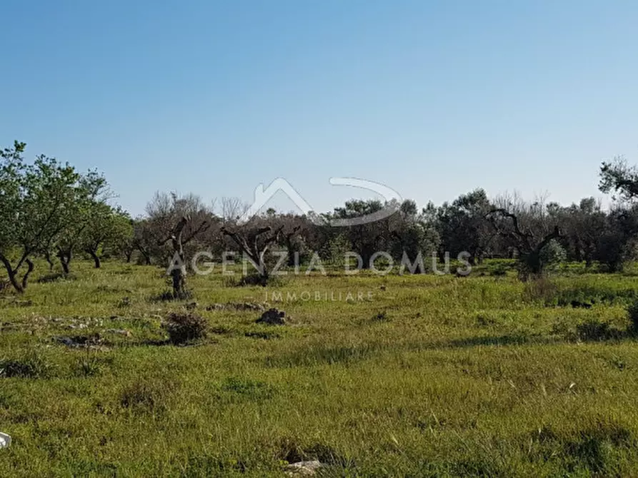 Immagine 20 di Terreno in vendita  a Racale