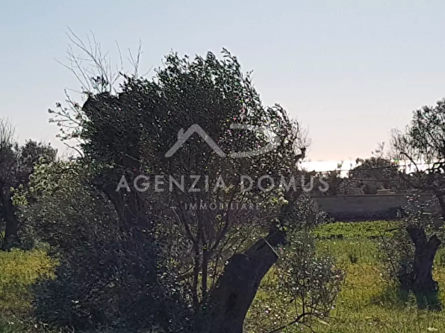 Immagine 21 di Terreno in vendita  a Racale
