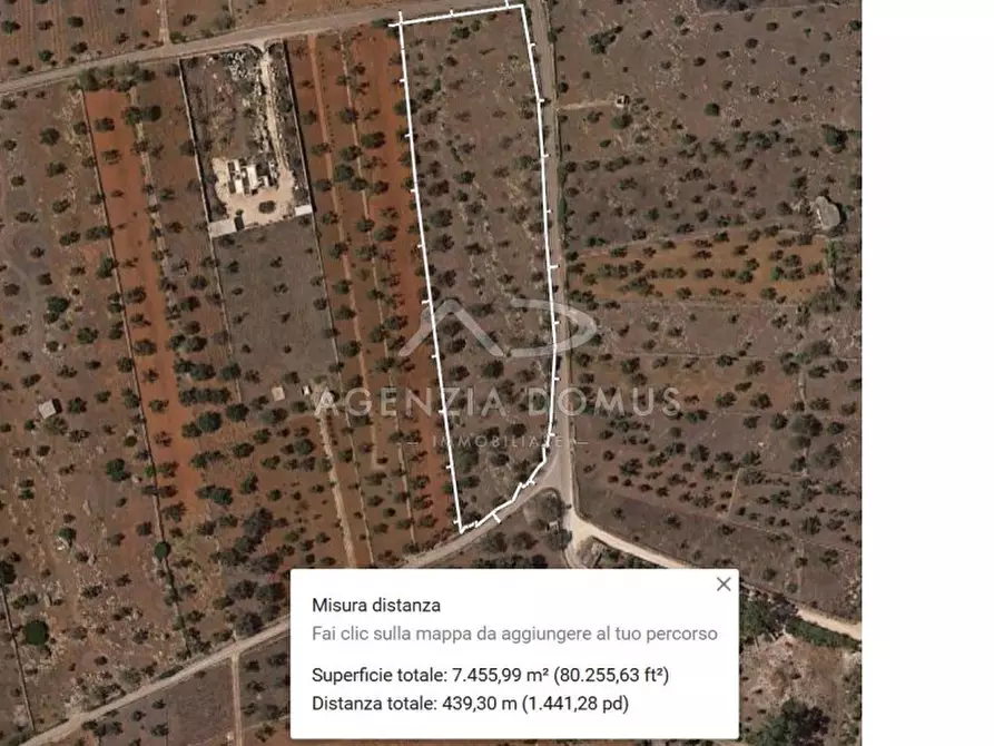 Immagine 22 di Terreno in vendita  a Racale