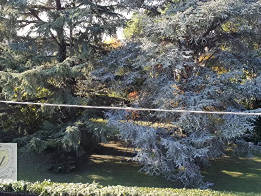 Immagine 23 di Casa bifamiliare in vendita  in via ca' mori a Este