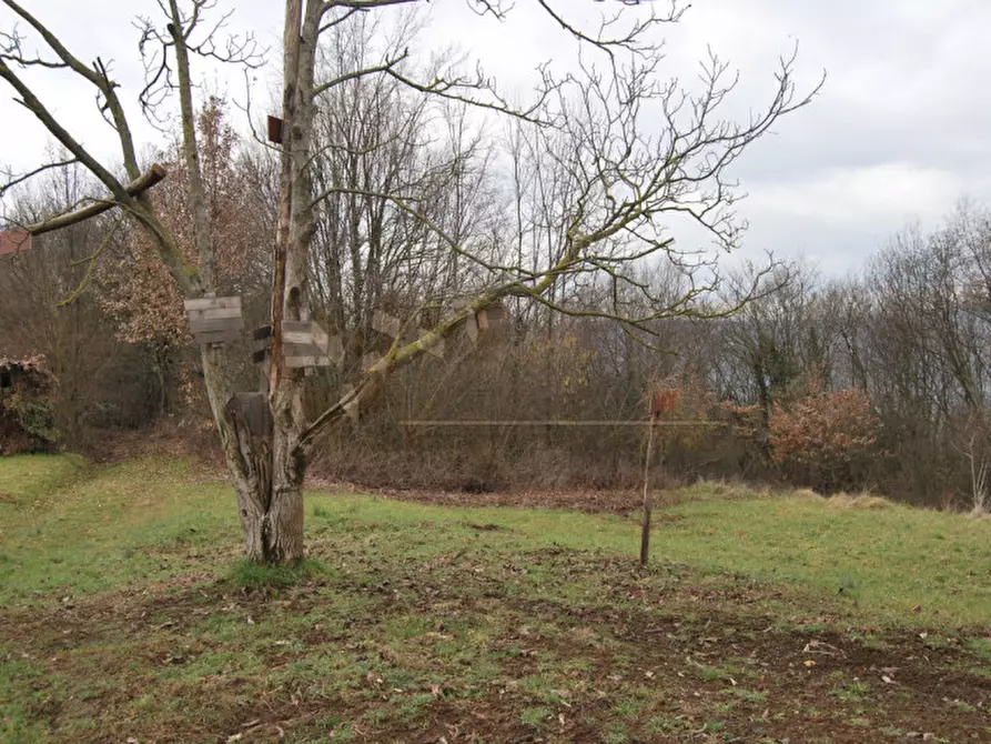 Immagine 11 di Casa indipendente in vendita  a Arcugnano
