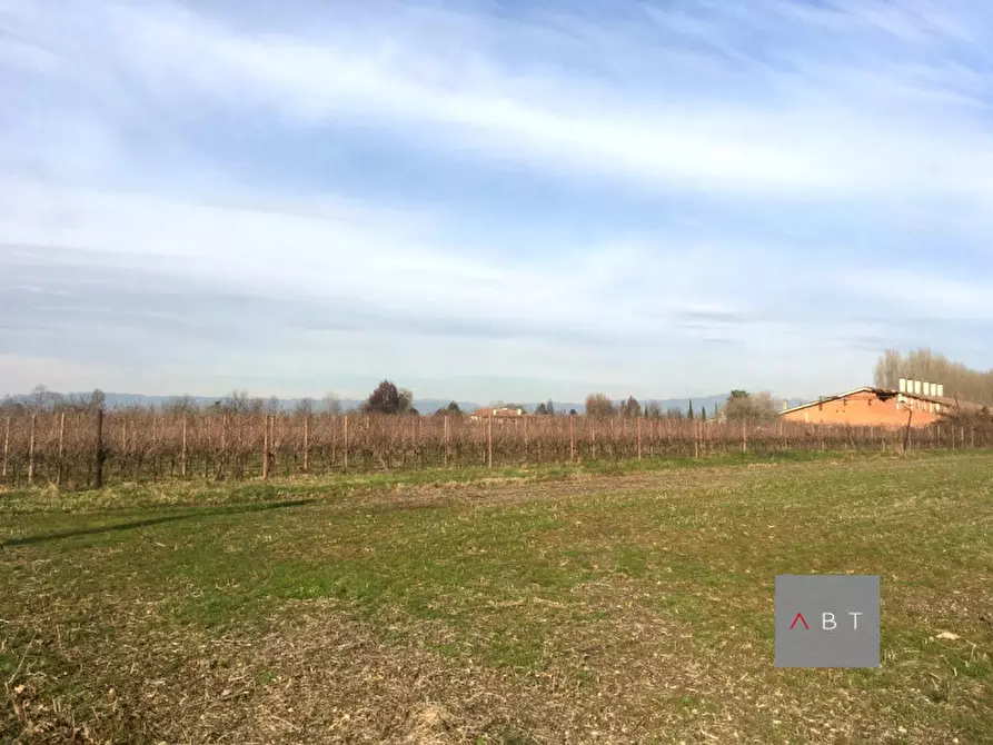 Immagine 2 di Terreno in vendita  a Villa Del Conte