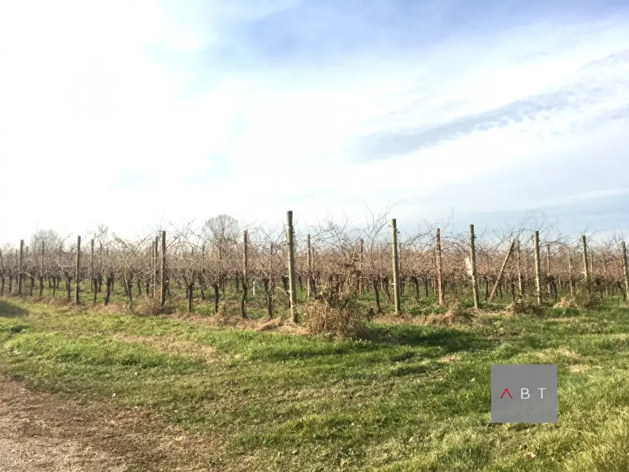 Immagine 3 di Terreno in vendita  a Villa Del Conte