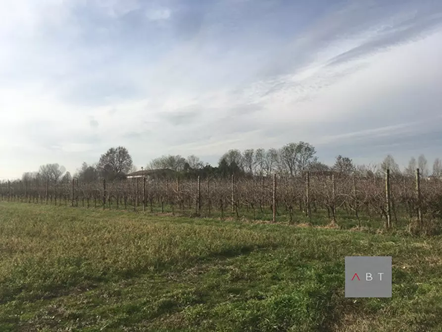 Immagine 4 di Terreno in vendita  a Villa Del Conte