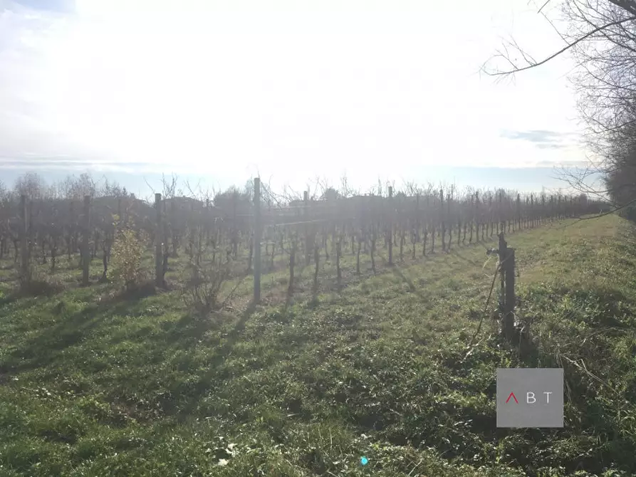 Immagine 5 di Terreno in vendita  a Villa Del Conte