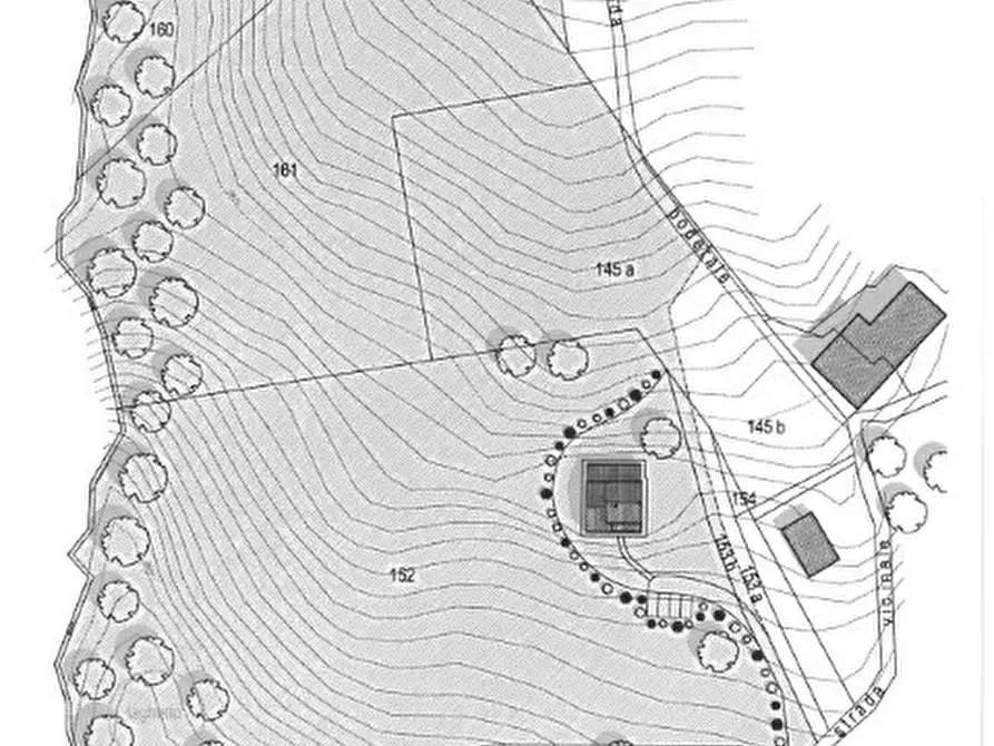 Immagine 3 di Terreno in vendita  a Bucine