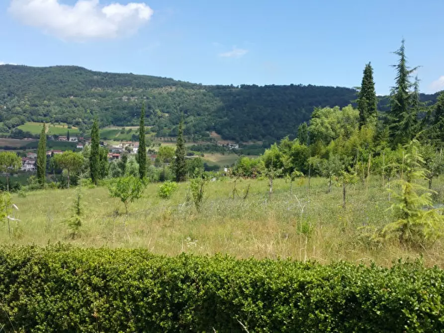 Immagine 1 di Terreno in vendita  in Via Isonzo a Brendola