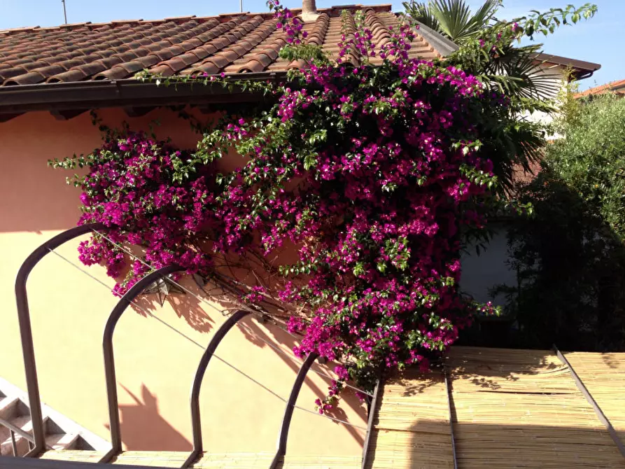 Immagine 11 di Villa in affitto  in via Duca degli Abruzzi 20 a Forte Dei Marmi