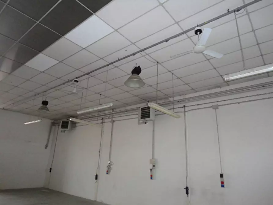 Immagine 4 di Capannone industriale in affitto  in Via Germania a Vigonza