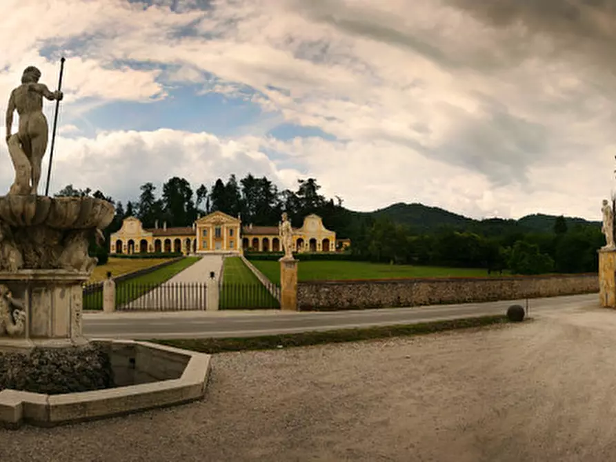 Immagine 3 di Attività commerciale in affitto  a Maser