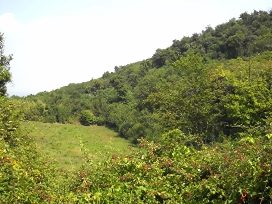 Immagine 6 di Rustico / casale in vendita  in pirio a Teolo