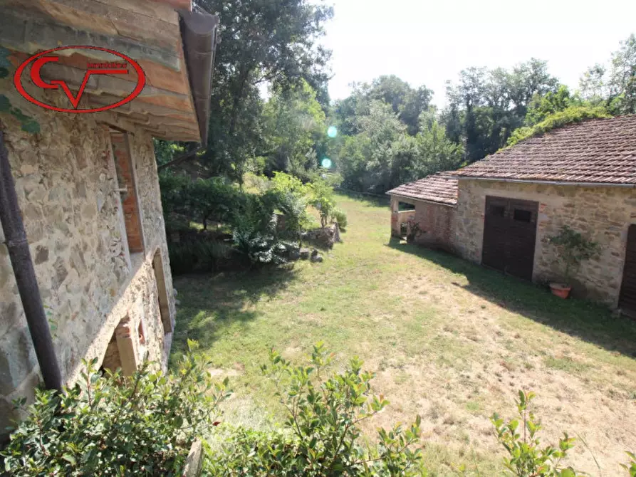 Immagine 21 di Rustico / casale in vendita  a Terranuova Bracciolini