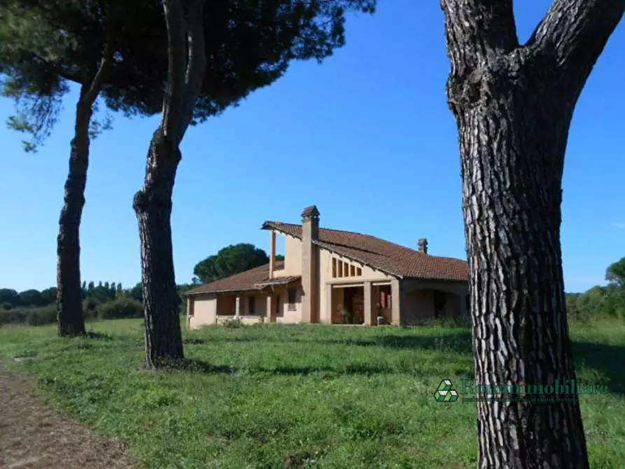 Immagine 5 di Villa in vendita  in Via Camillo Spinedi a Roma