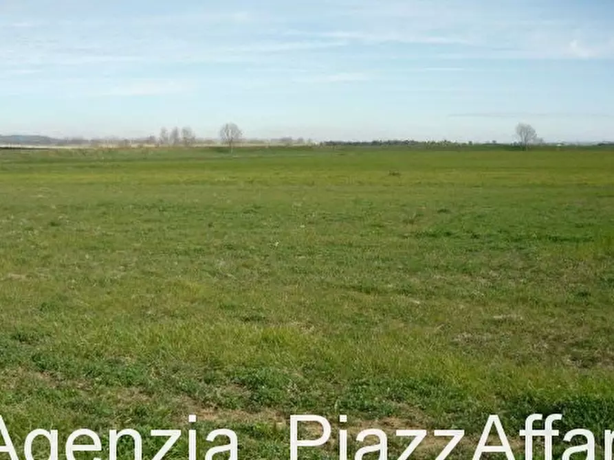 Immagine 2 di Terreno in vendita  in CANDIANA a Candiana