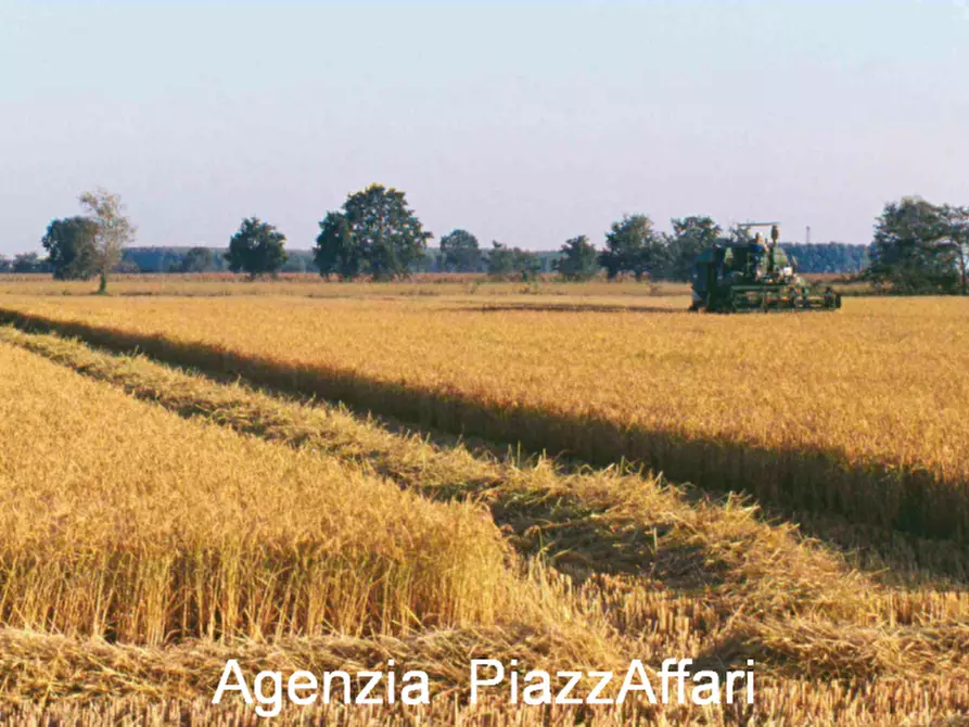 Immagine 3 di Terreno in vendita  in CANDIANA a Candiana