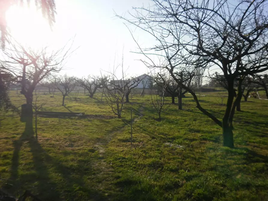 Immagine 17 di Casa indipendente in vendita  a Pegognaga