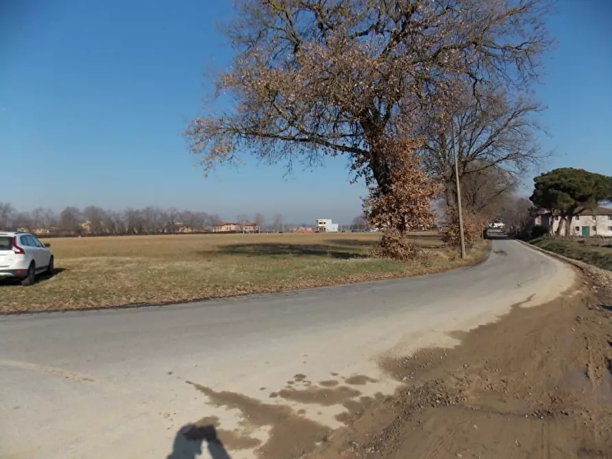 Immagine 3 di Terreno in vendita  in Via Provinciale a Valsamoggia