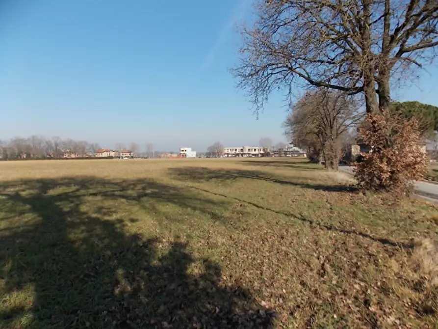 Immagine 4 di Terreno in vendita  in Via Provinciale a Valsamoggia