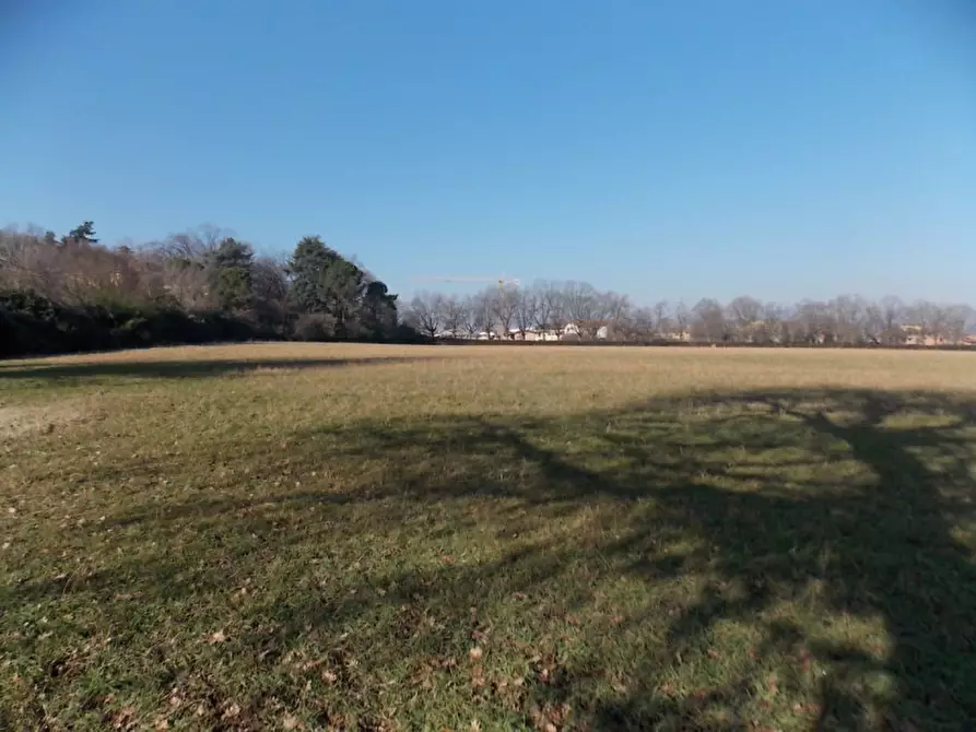 Immagine 6 di Terreno in vendita  in Via Provinciale a Valsamoggia